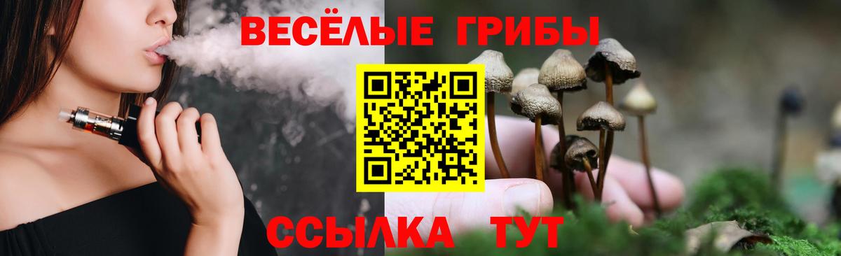 Псилоцибиновые грибы Cubensis Новосибирск